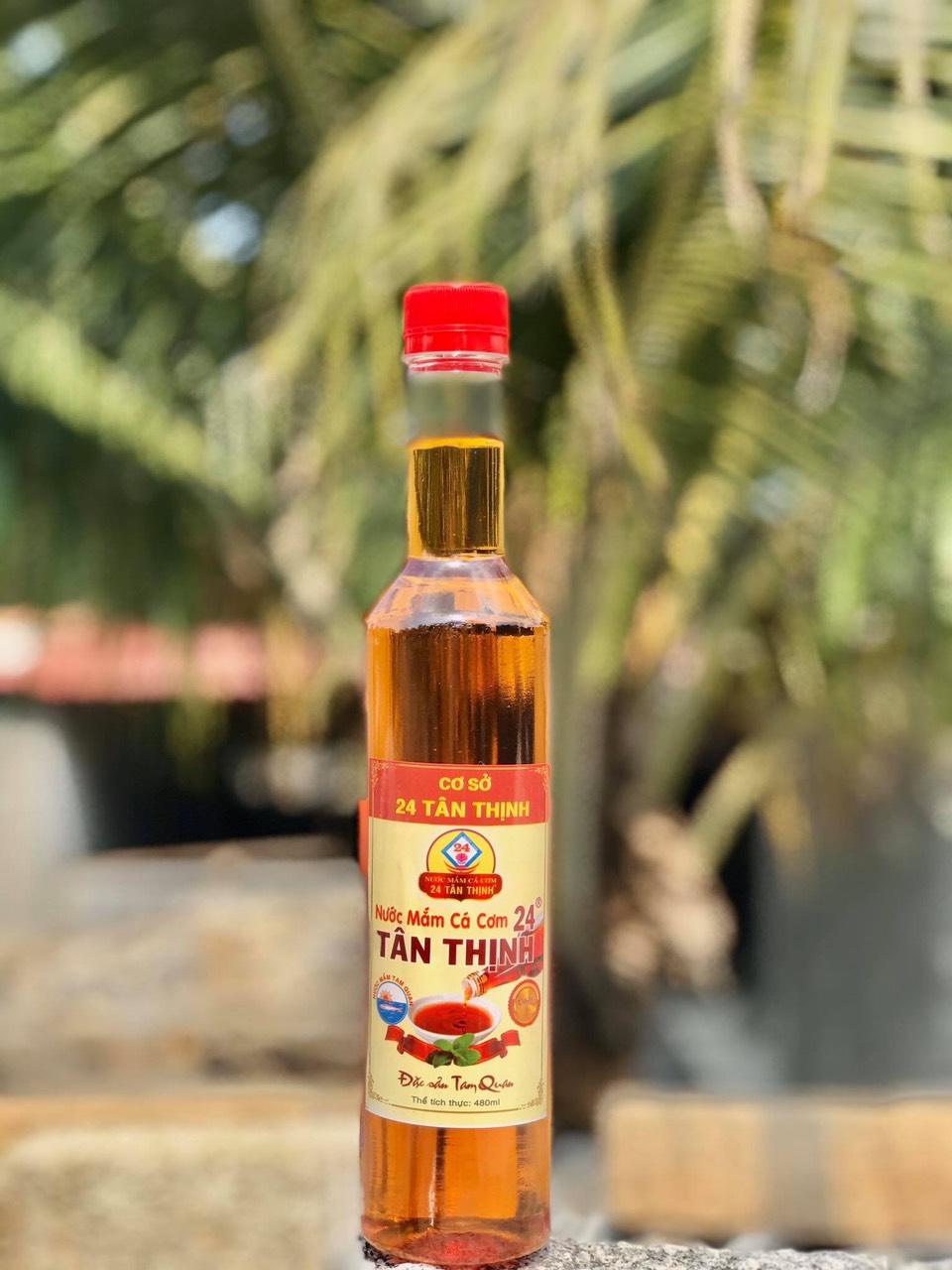 [HCM]Nước mắm Cá cơm Tân Thịnh 24 ( Đặc sản Tam Quan- Bình Định )
