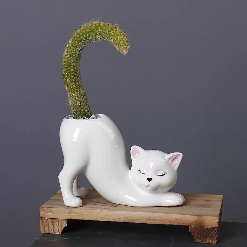 Chậu gốm sứ hình mèo dễ thương