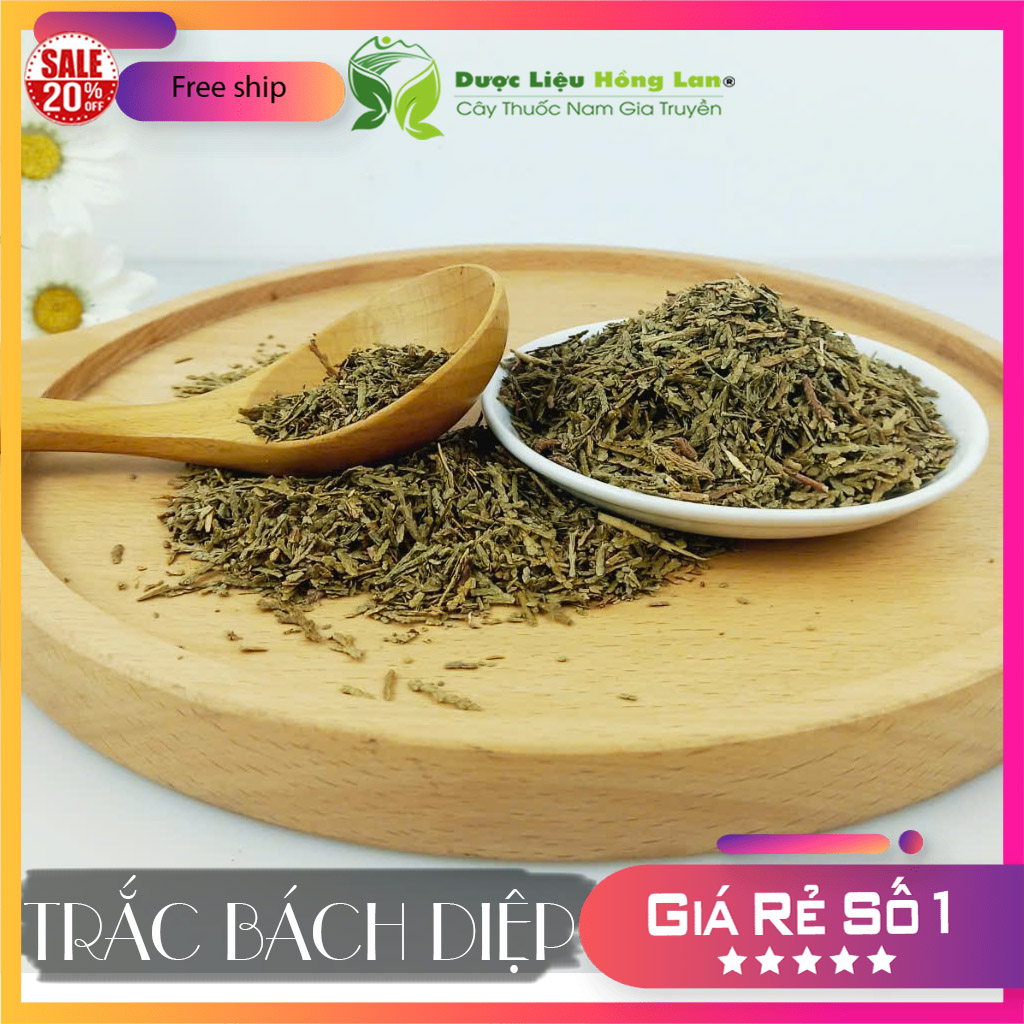 [FreeshipMAX] ✅[THƯỢNG HẠNG] 100g Trắc Bách Diệp đẹp loại 1 - (Hàng chính hãng)