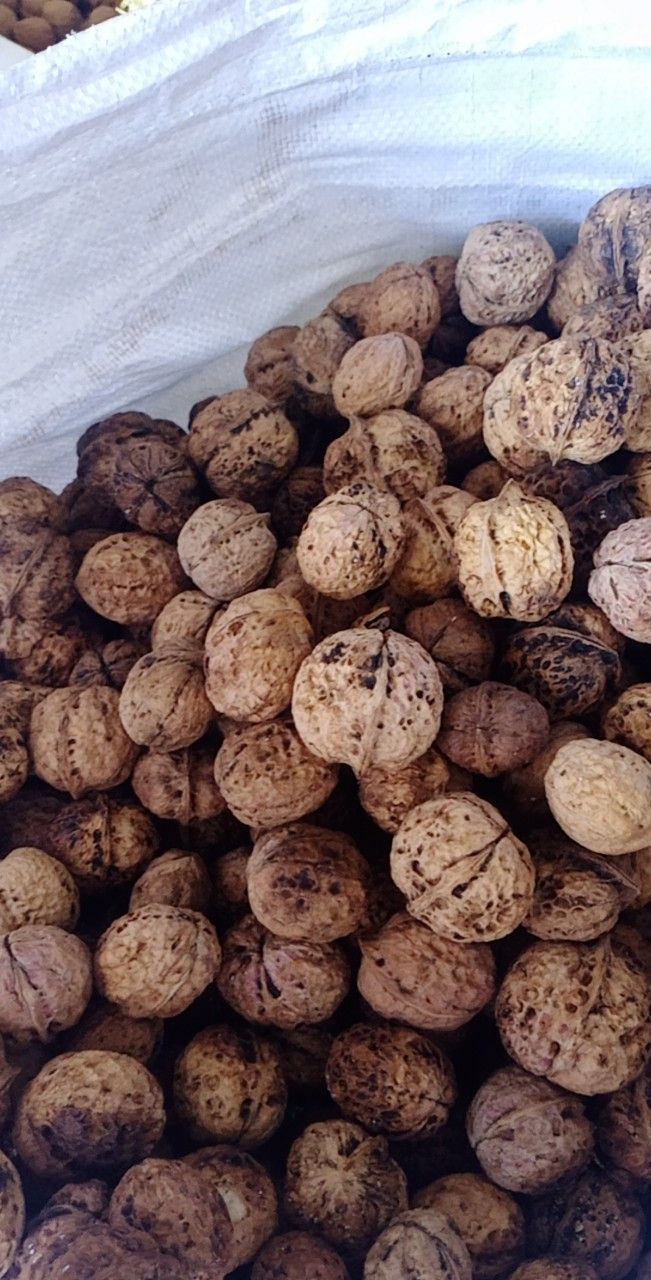 Quả óc chó nếp rừng Lai châu 1kg