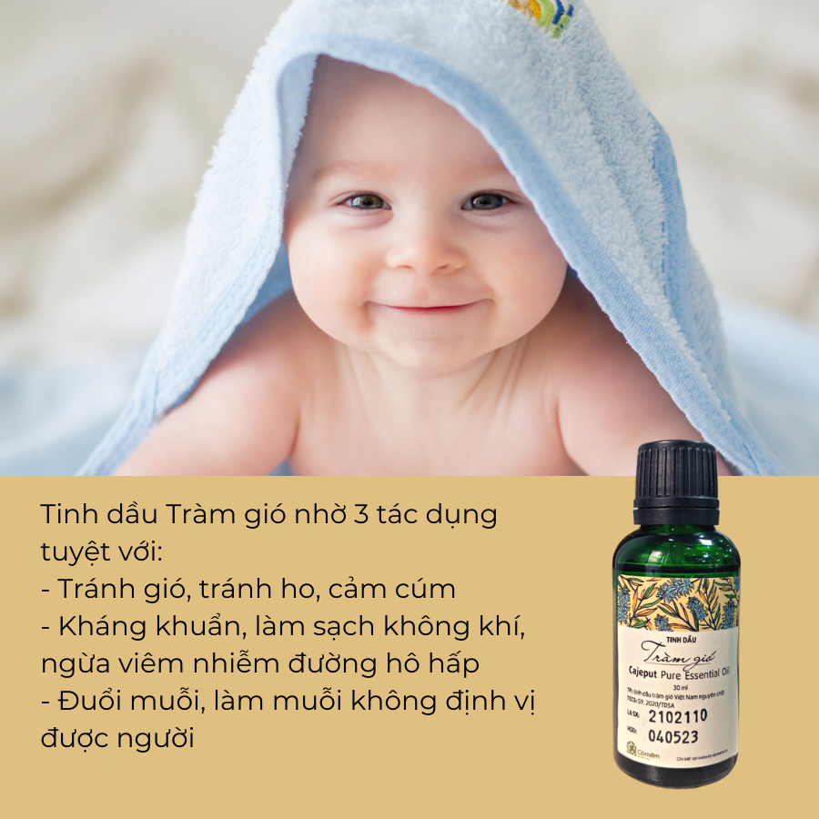 Pure Melaleuca Essential Oil Soft Grass