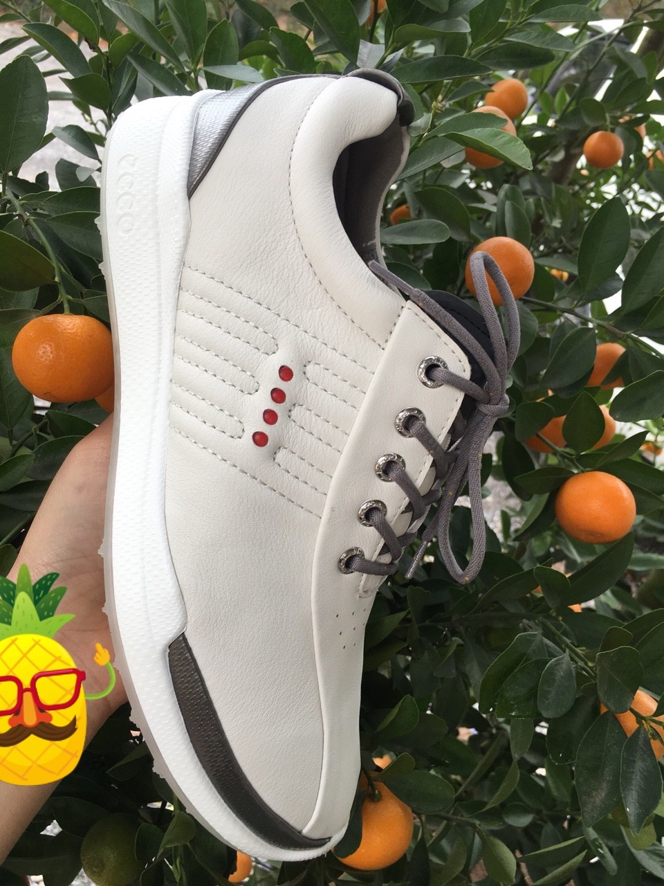 GIÀY GOLF ECCO, Mẫu mới nhất 2020, giày đánh golf, Giày golf nam