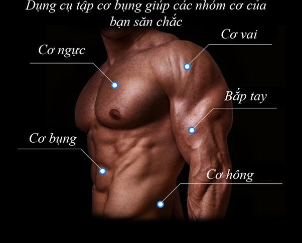Con lăn tập cơ bụng AB Slimmer