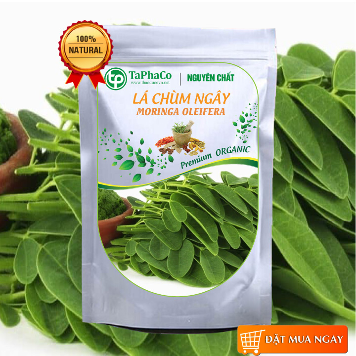 Lá chùm ngây sấy khô 100g, Trà lá chùm ngây khô - Tấn Phát