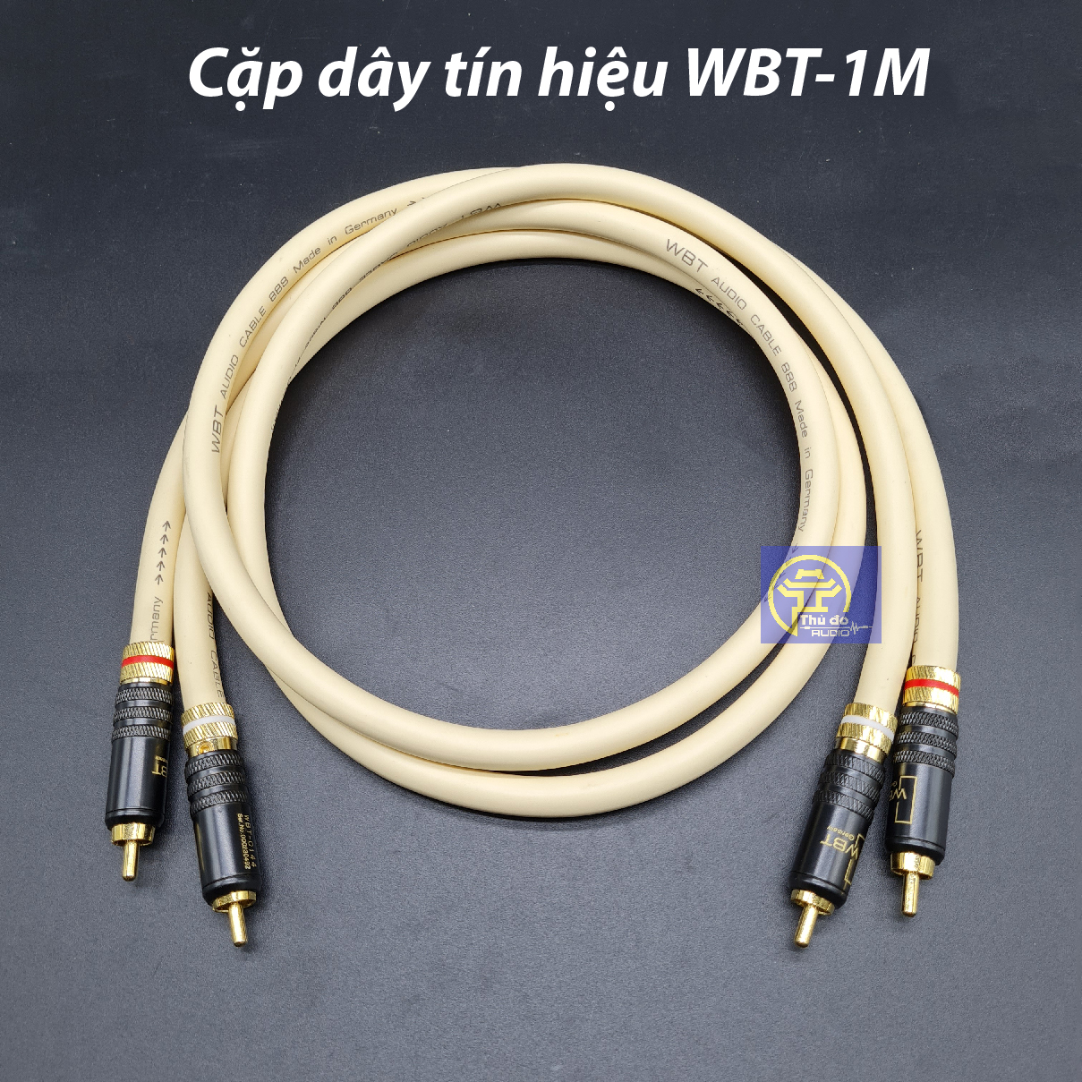 01 cặp dây tín hiệu âm thanh WBT - 888 cao cấp của Đức Dây AV / RCA dài 1M.