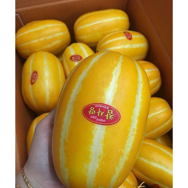 243A Hạt Giống Cây Dưa Lê Vàng Hàn Quốc (10 Hạt)