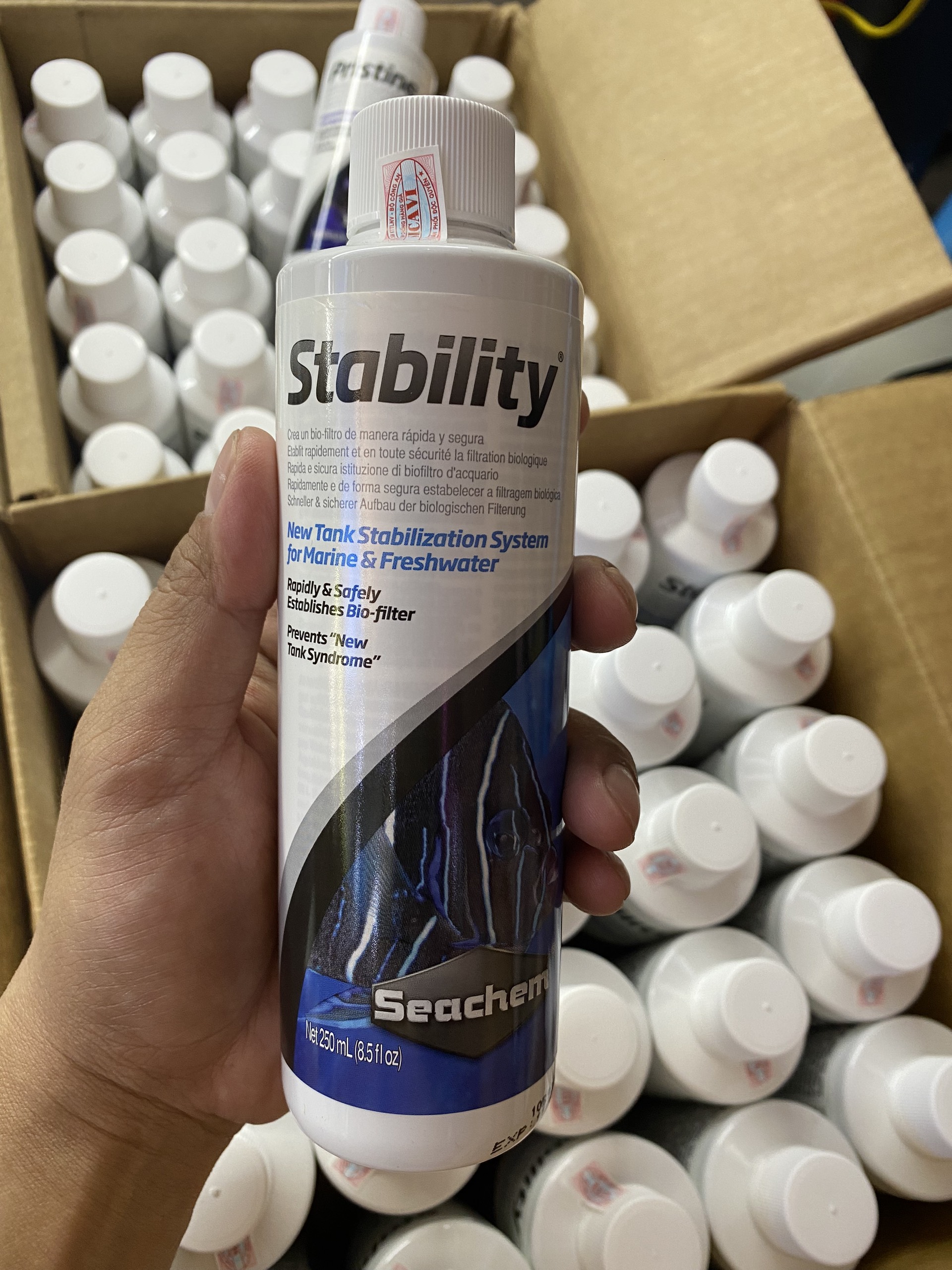 Chai 250ml Seachem Stability - Vi Sinh sống cao cấp của Mỹ xử lý nước Bể Cá Cảnh, Bể Thủy Sinh