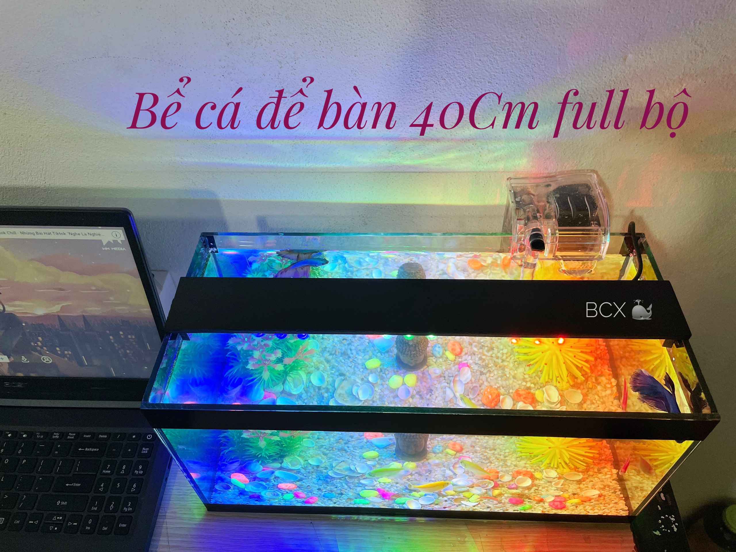 Bể cá mini để bàn 40cm FULL COMBO đầy đủ phụ kiện