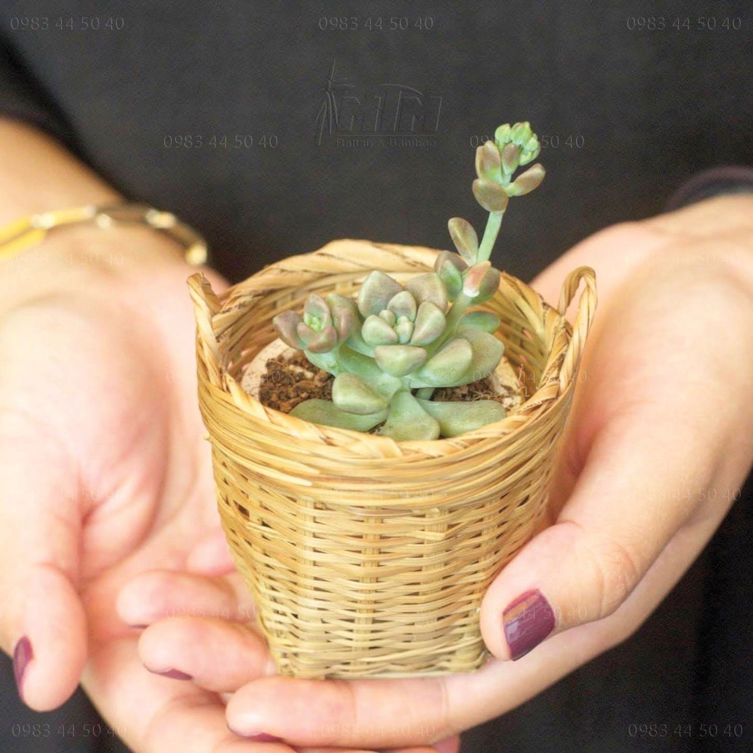 Giỏ tre nhí - Phụ kiện decor, chụp hình, trang trí tiểu cảnh.