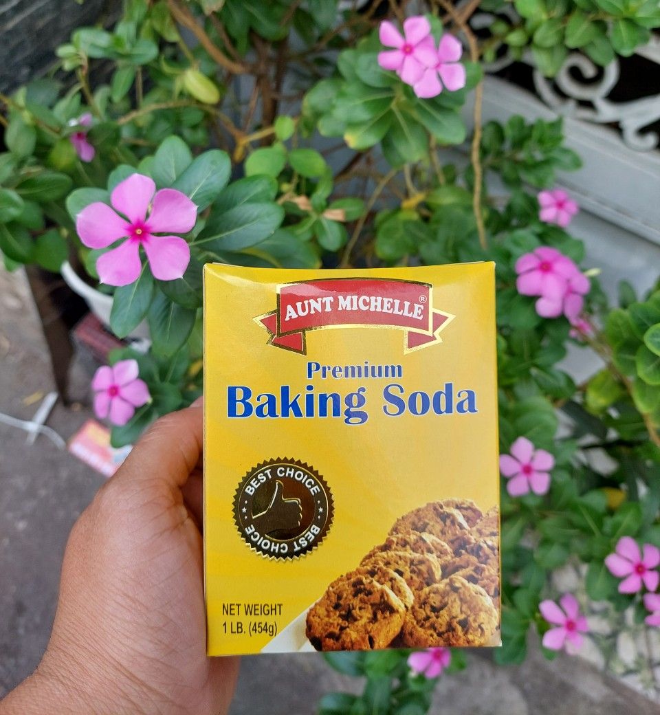 Bột Baking Soda Đa Năng Aunt Michelle Premium Baking Soda 454g