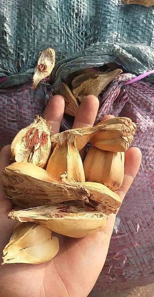 Quả dứa dại khô hút chân không (dứa biển)