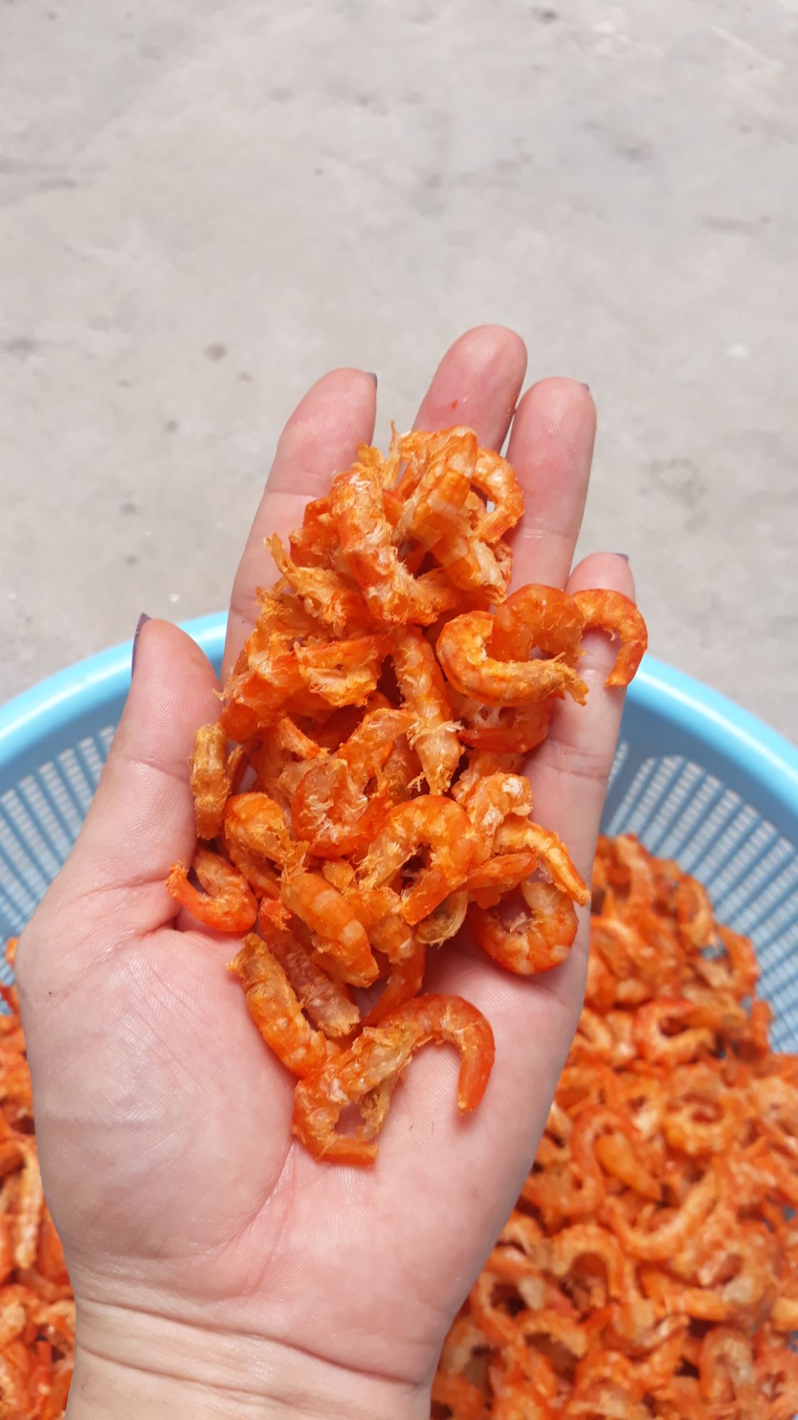 Tôm khô đất 1 kí
