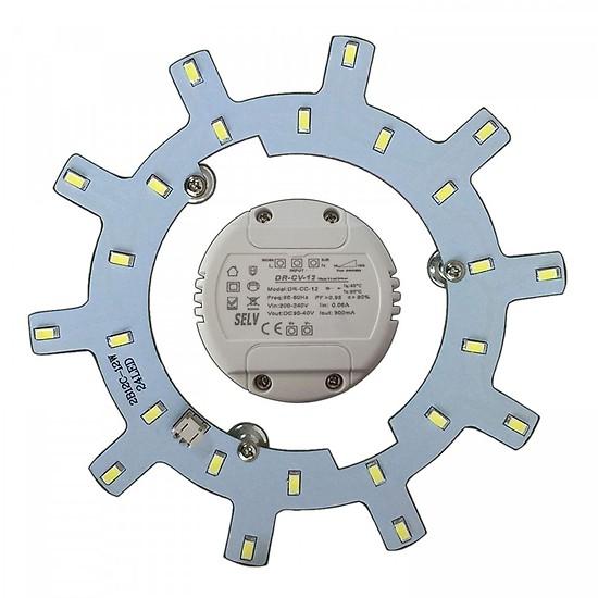 Đèn led vòng 12w