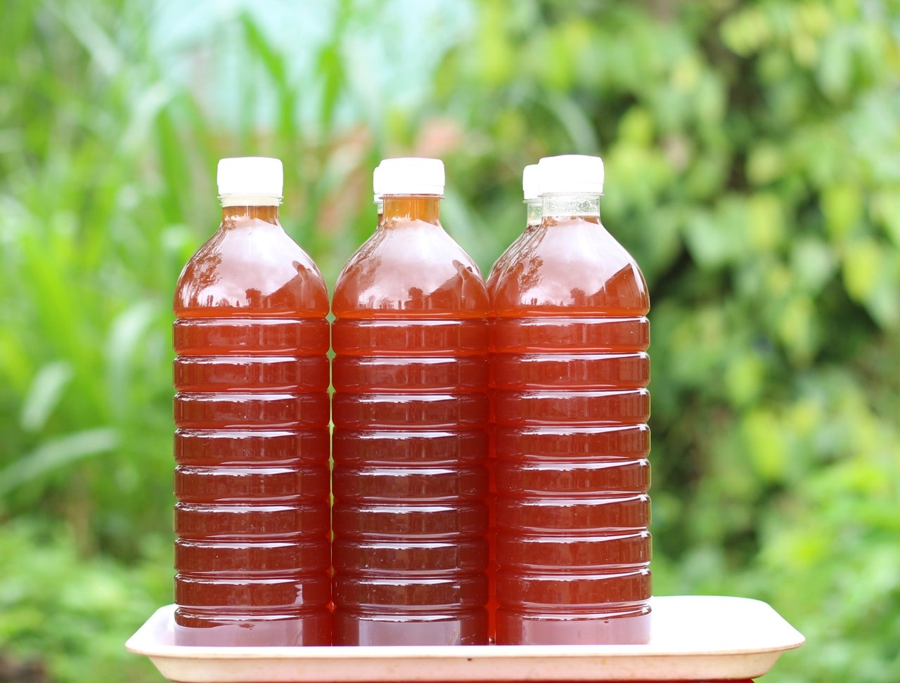 1 LÍT MẬT ONG HOA CÀ PHÊ DAKLAK
