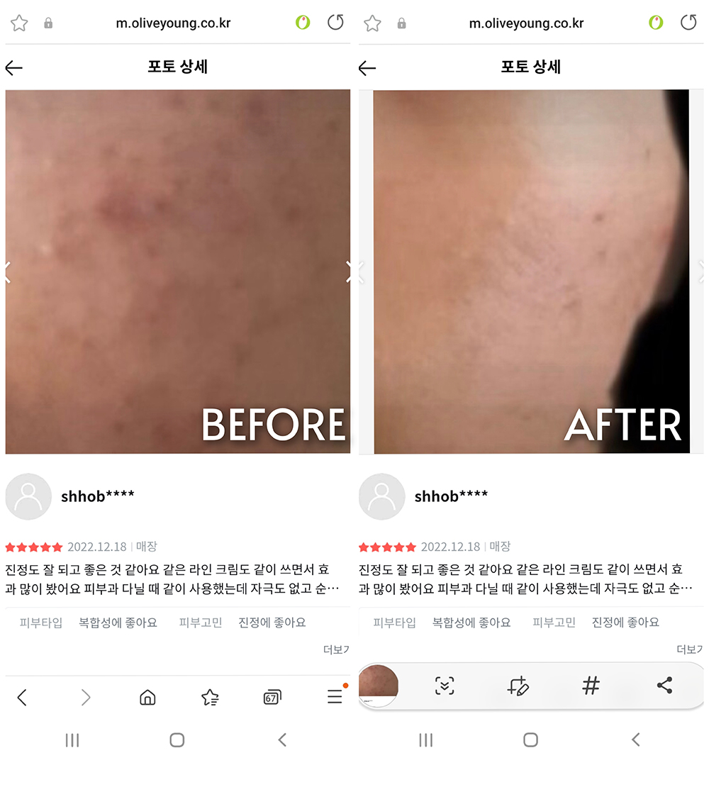 [Nhacuabeautyholic] Tinh chất, pad và toner dịu mụn ROUNDLAB PINE CALMING CICA