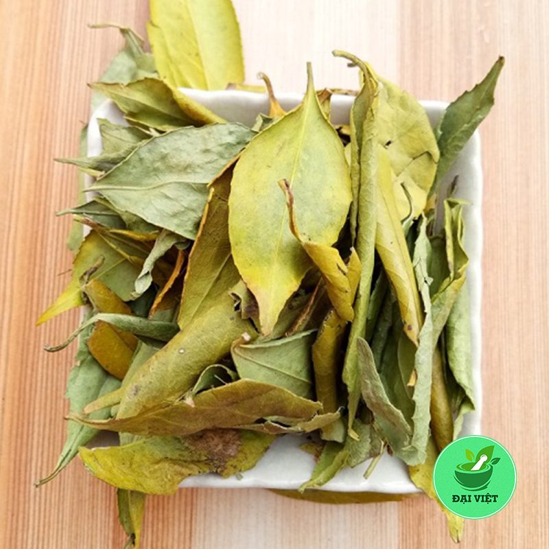 Chè dung - dv019