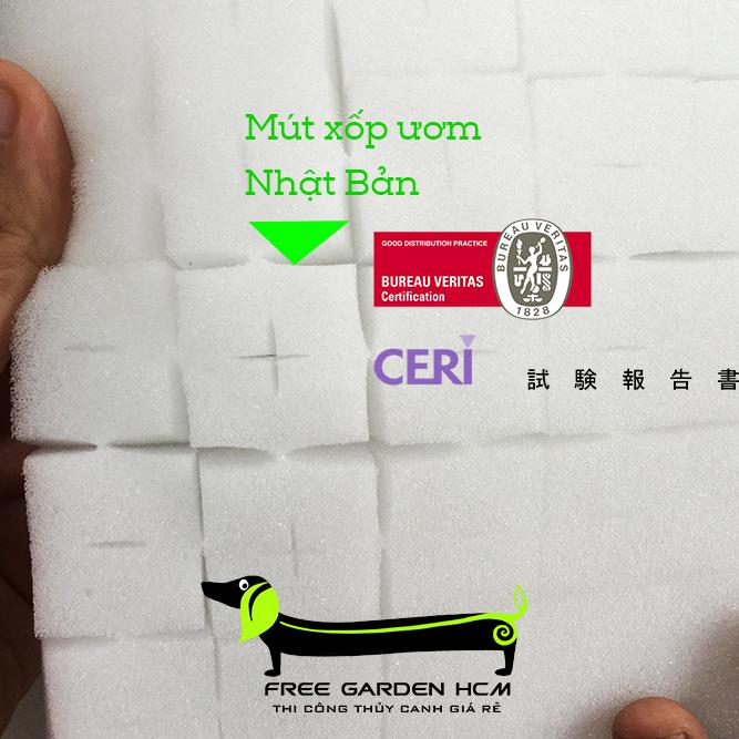 COMBO 1080 VIÊN MÚT XỐP ƯƠM HẠT NHẬT BẢN CẮT RÃNH