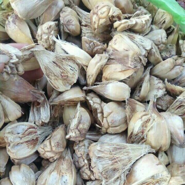 2kg dứa rừng - dứa dại