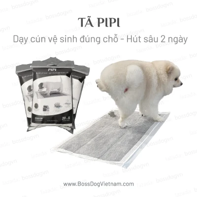 [HCM]Tã lót vệ sinh chó PIPI kích thích cún tè lần sau | Pipi size M (10 tã) (45x60 cm) | BossDog