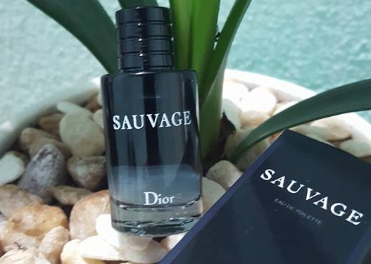 [HCM]Nước hoa nam sauvageee 100ml edt