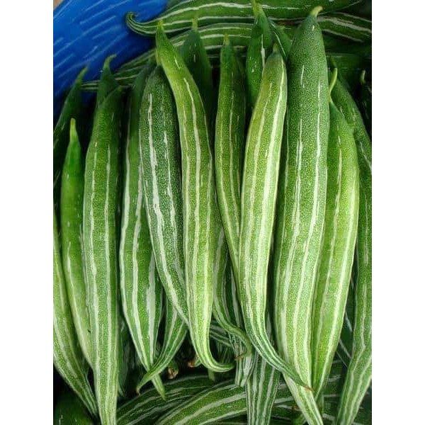 LẶC LÈ THÁI CAO SẢN - 2G