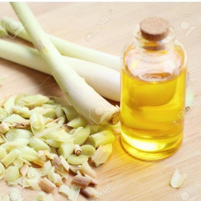 Tinh dầu Sả Chanh thơm lừng - CHAI 100ml