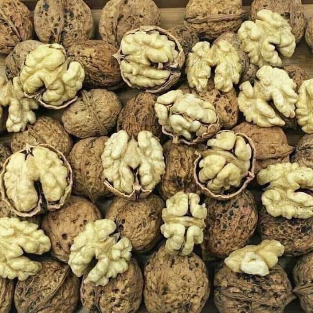 [Nhập RS0822 giảm 30k cho đơn 99k]1KG QUẢ ÓC CHÓ SẦN SAPA