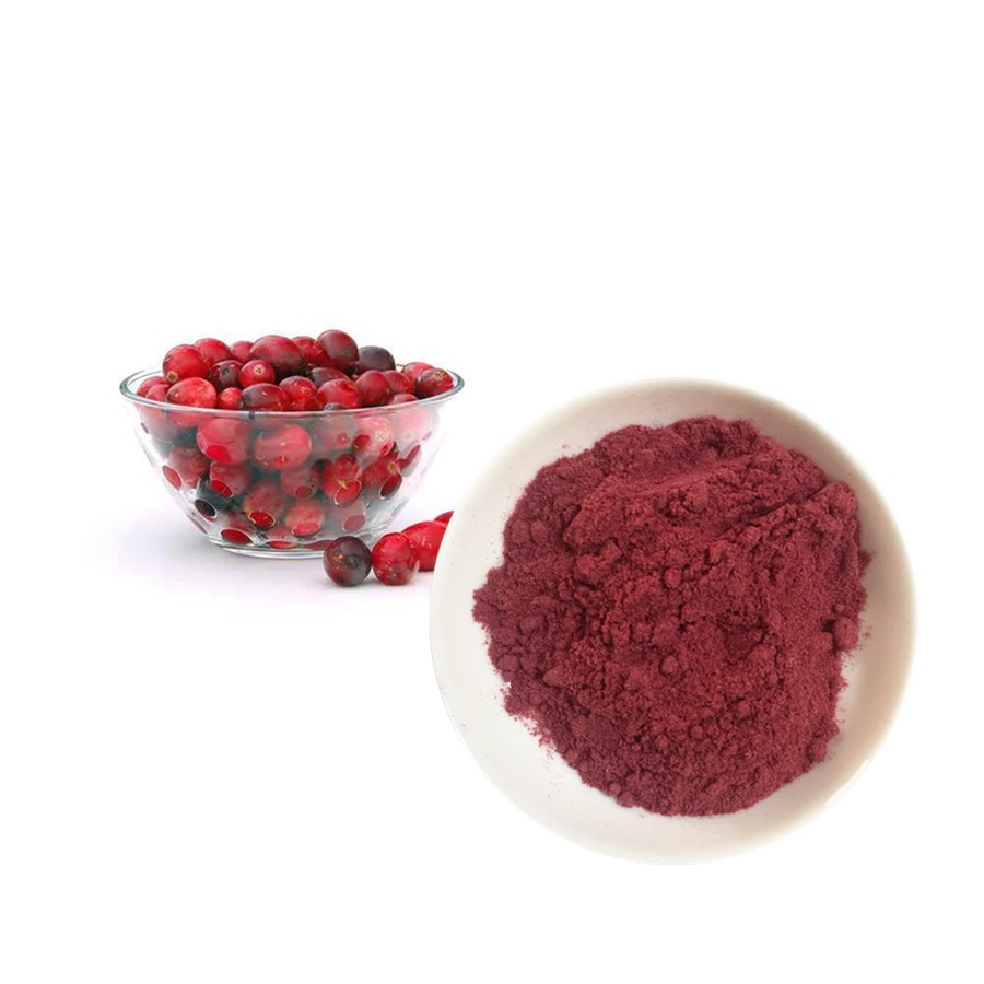 Bột trái cây việt quất 50g