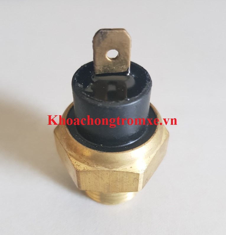 Cảm Biến Nhiệt Dylan Viva 115
