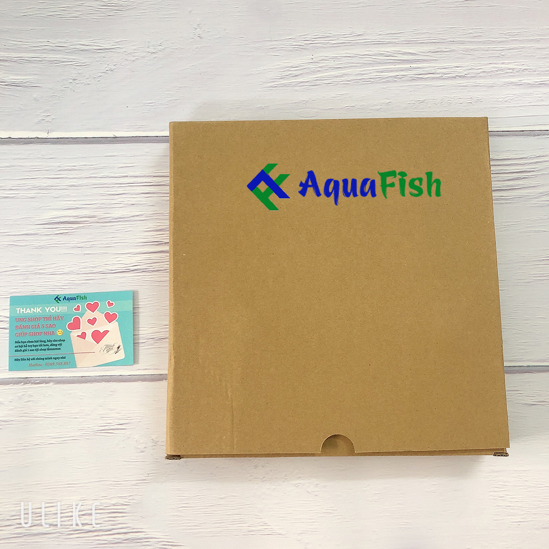 Đĩa sủi 20cm (dành cho bể cá)