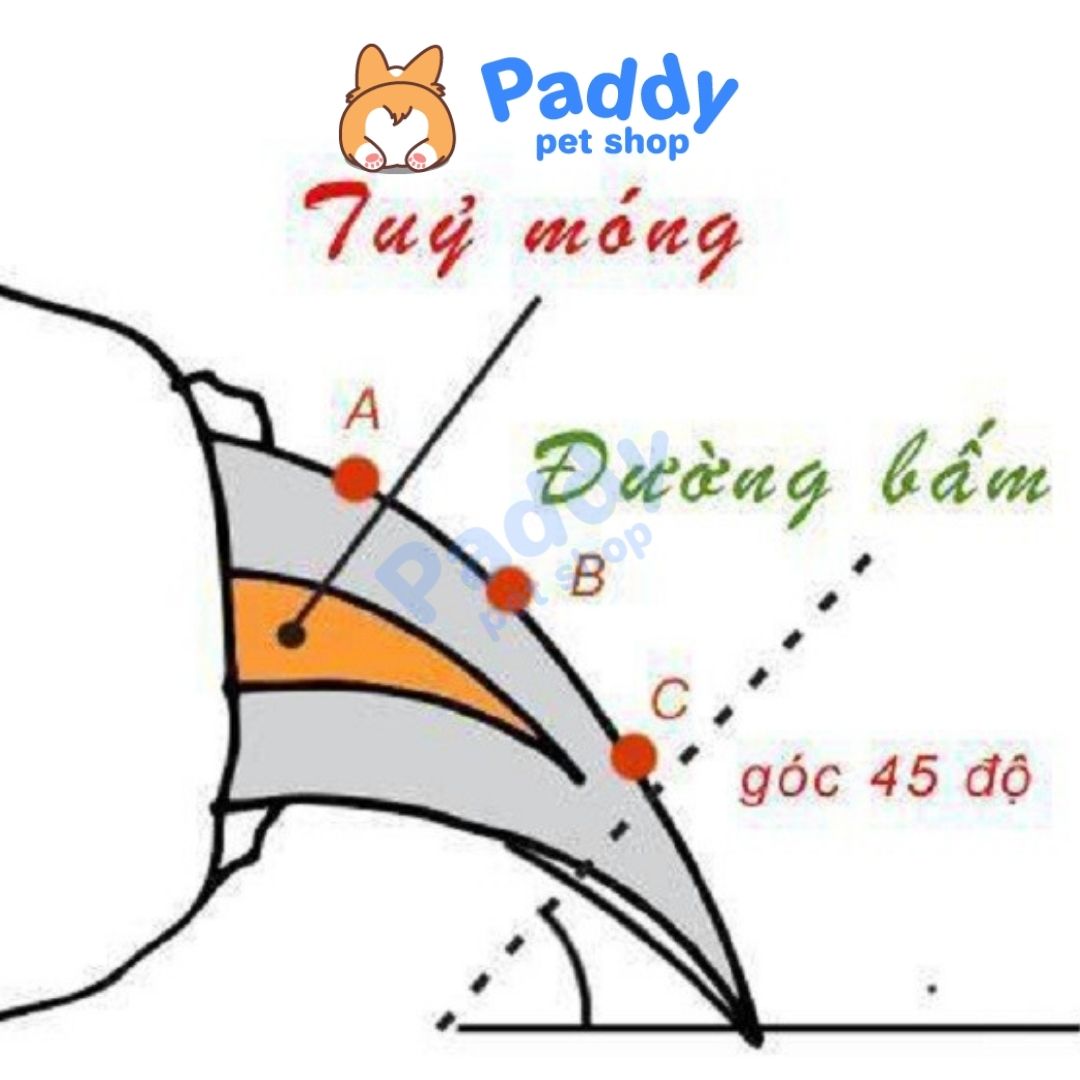 Kéo Cắt Móng Cho Chó Mèo