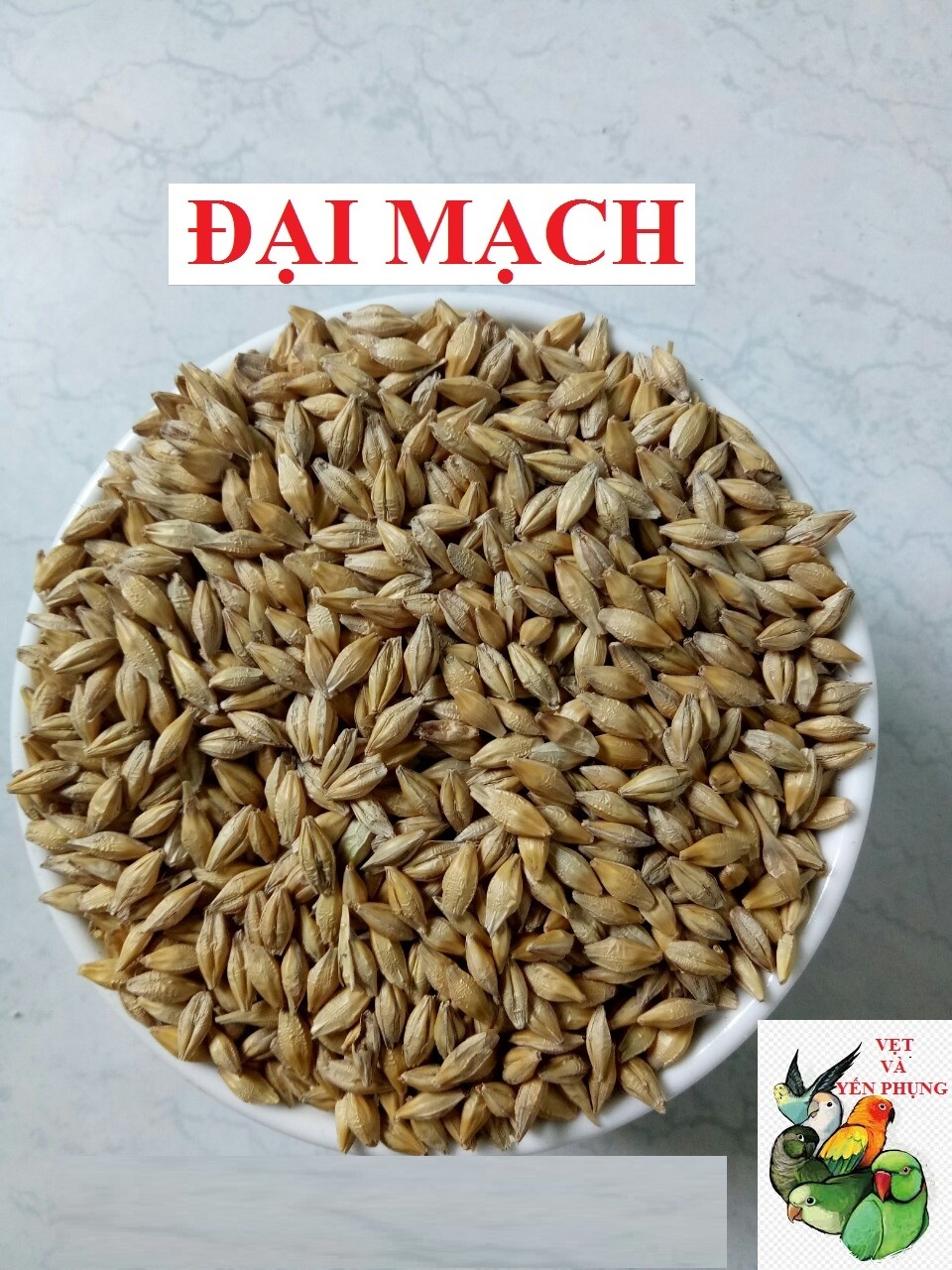 HẠT ĐẠI MẠCH CHO CHIM CẢNH, VẸT, HAMSTER