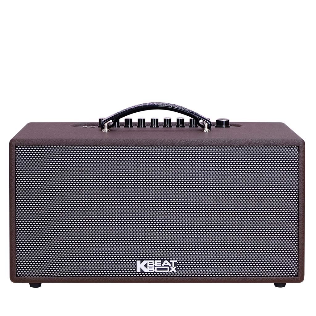Loa karaoke di động acnos cs391