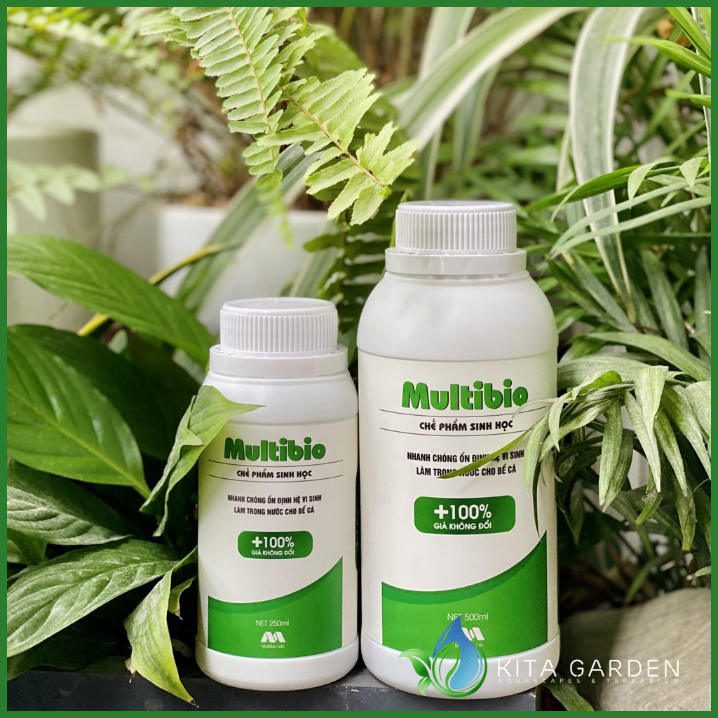 Vi sinh nước Multibio giúp trong nước bể cá