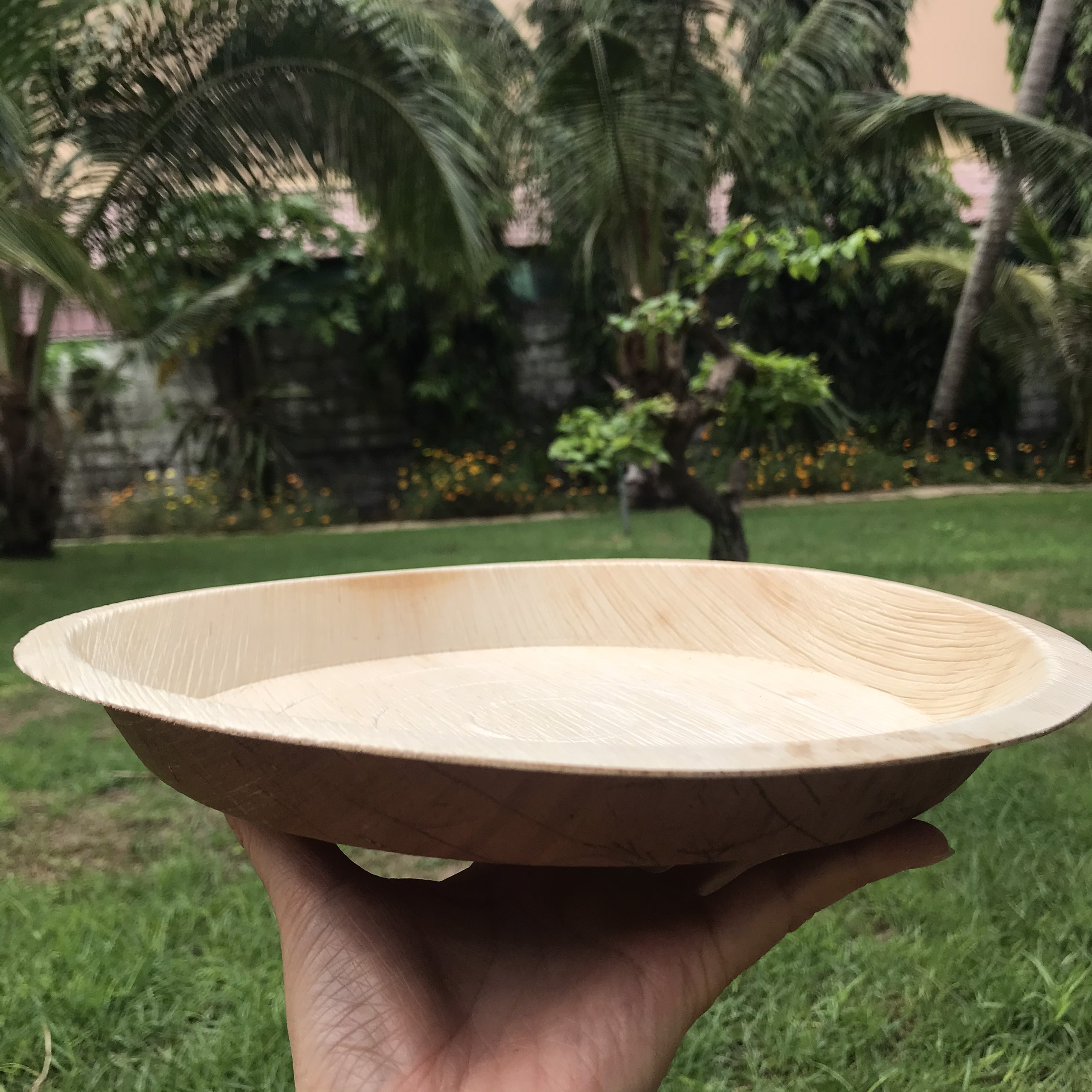 COMBO TIỆN LỢI : CHÉN DĨA MO CAU ĐẸP