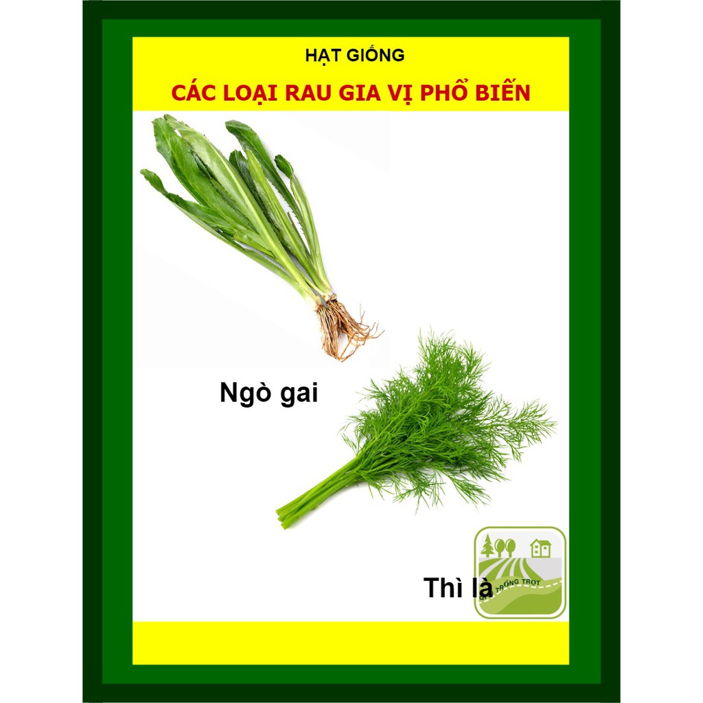 Combo hạt giống các loại rau gia vị