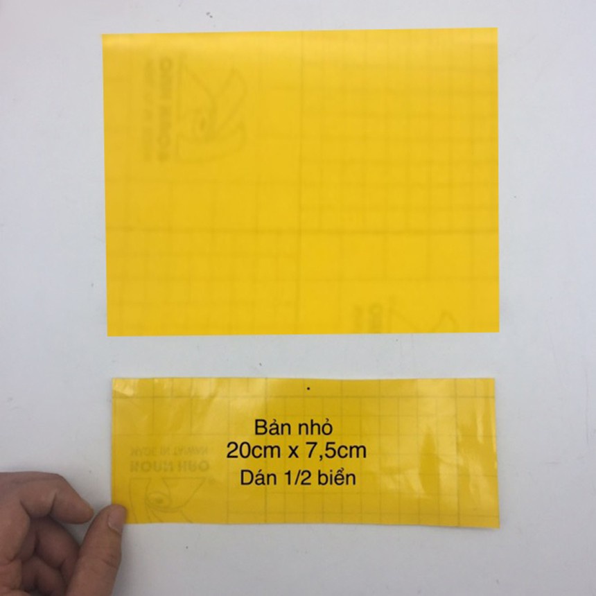 Decal dán biển số xe máy 3 màu vàng, xanh, đỏ trang trí biển số xe máy phong cách cá tính