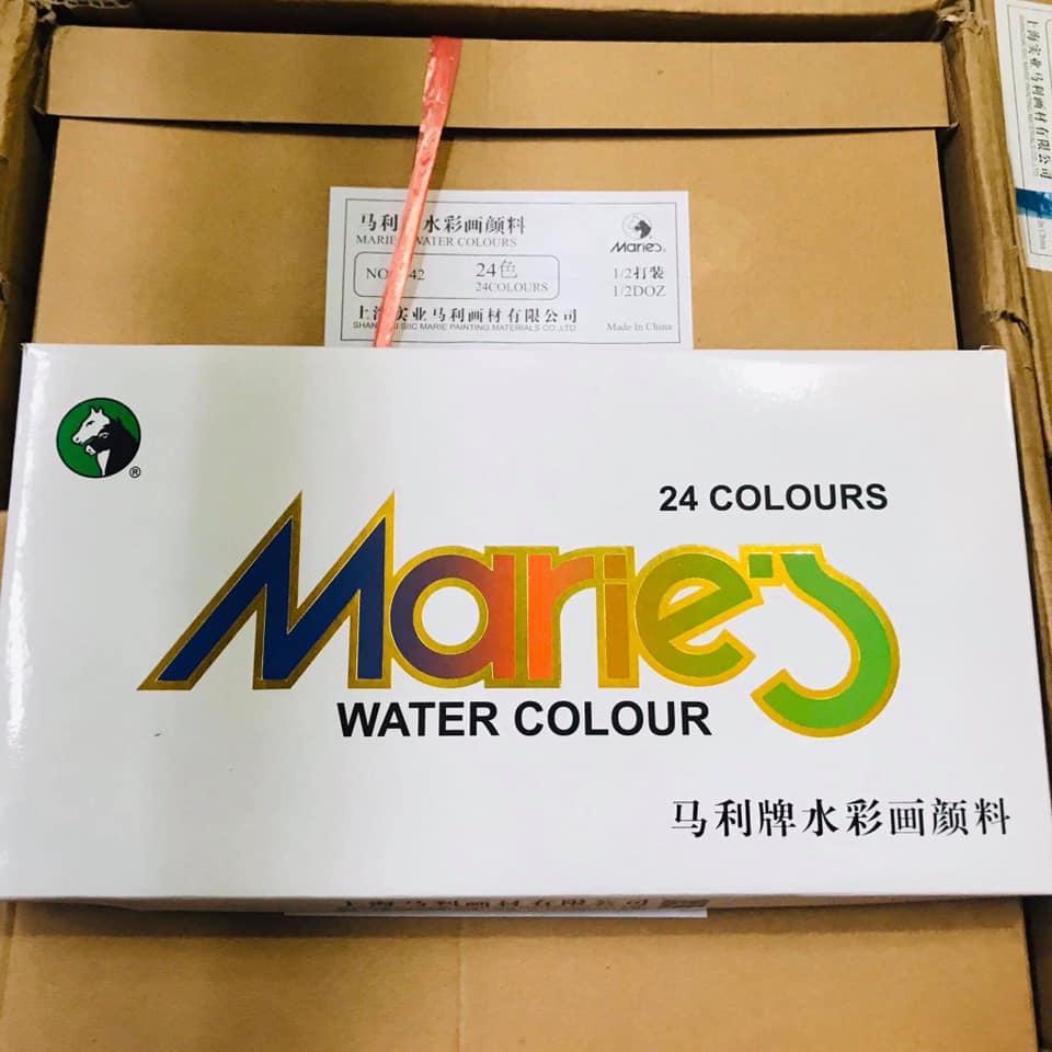 MÀU NƯỚC MARIE'S 12/18/24/36 MÀU