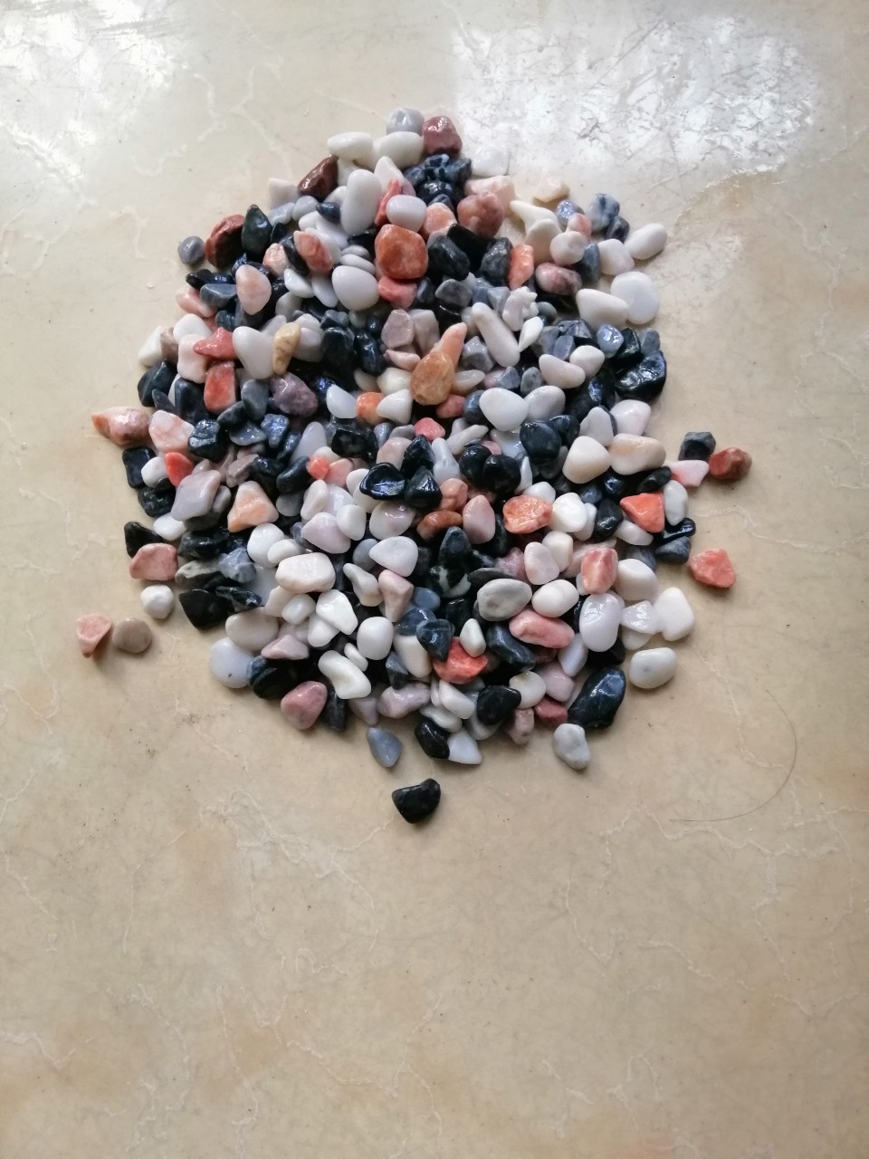 [Chọn size] Combo 5 kg Sỏi 4 màu  trang trí bể cá,sân vườn .