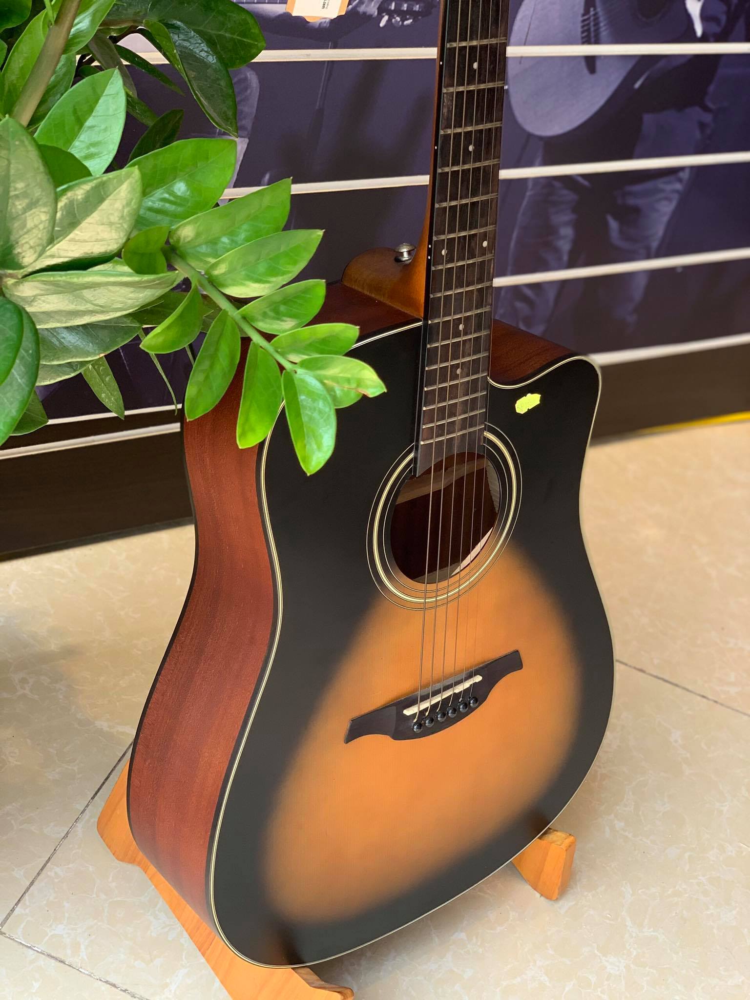 Đàn guitar acoustic Rex RD1C-VS Chính Hãng dáng Dreadnought