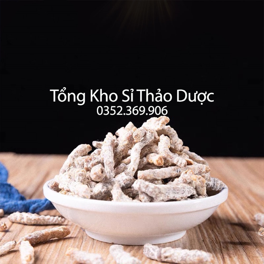 Bạch Cương Tằm 1kg