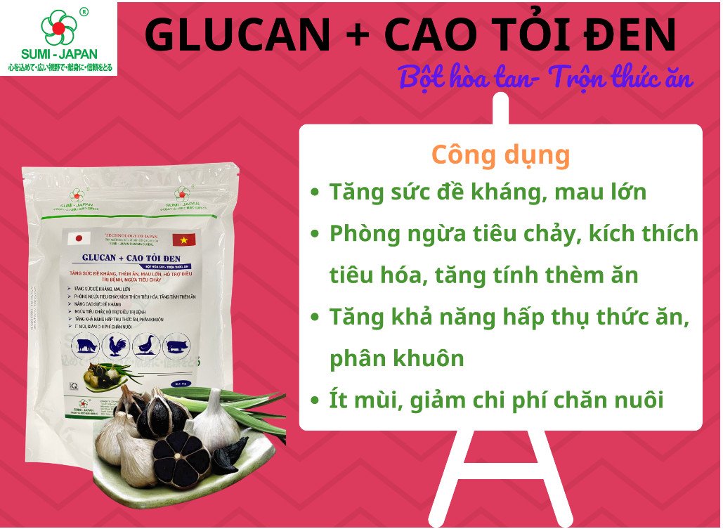 Glucan cao tỏi tăng đề kháng miễn dịch
