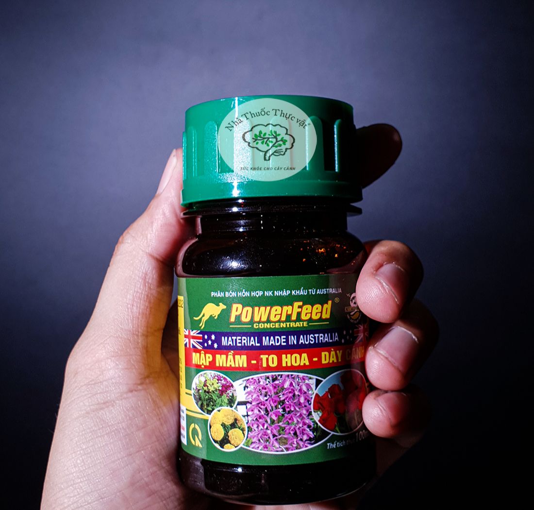 Phân Cá Power Feed NK ÚC Mập mầm-To hoa- Dày cánh 100ml
