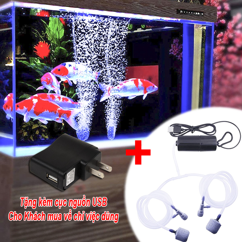 Máy Bơm Oxy Cho Bể Cá Cổng USB 5V Có 2 Đầu Thổi oxy (Tặng Cục Nguồn)