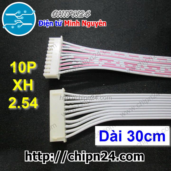 Dây bẹ 10p 30cm xh2.54mm