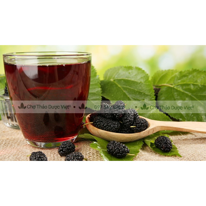 Lá dâu tằm khô 100g (Tang diệp)