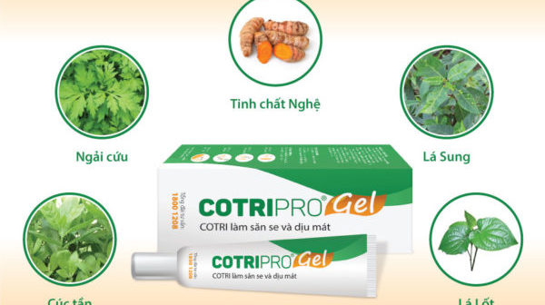 Gel Bôi Trĩ COTRIPRO - Dành Cho Người Bệnh Trĩ