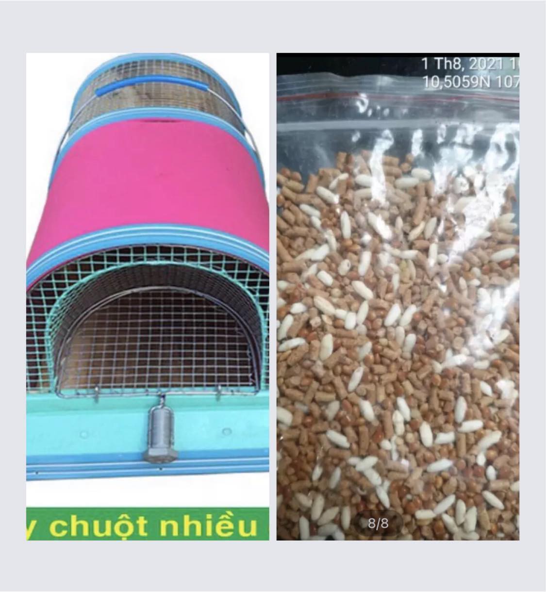 Bẫy Chuột Năm Phước An Giang ( Tặng Kèm Mồi Nhử  Chuột Đặc Biệt )