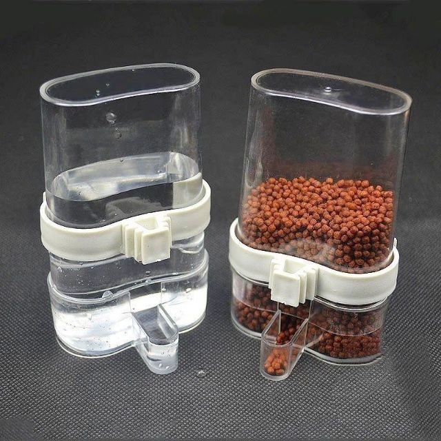 2 cóng ăn uống tự động cho chim Khướu , Mi