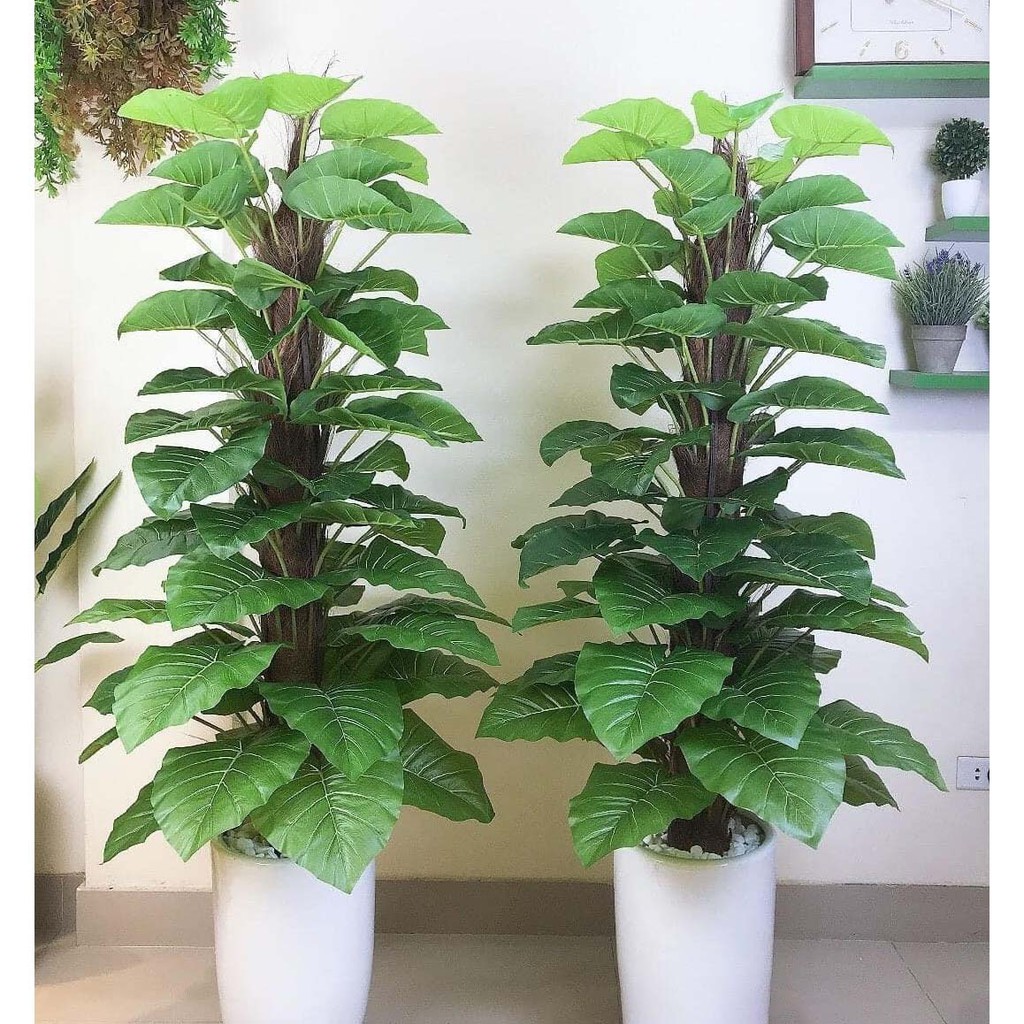 Cây Giả 🌺 Cây Trầu Bà 63 Lá Cao 1,6m
